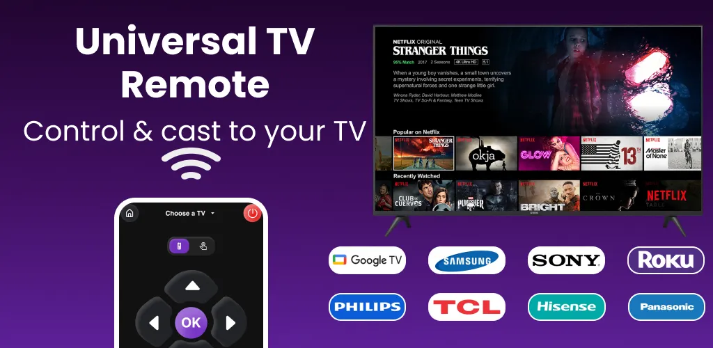 Universal TV Remote Control
